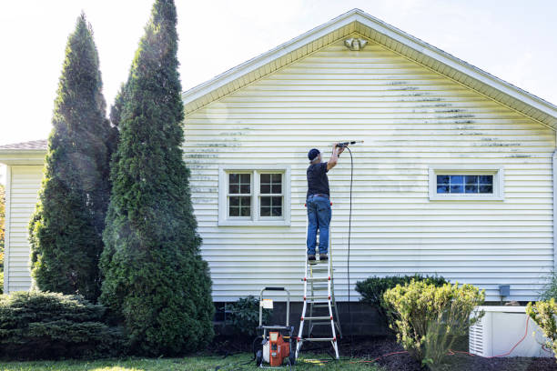 Deck Cleaning Services in Attica, MI